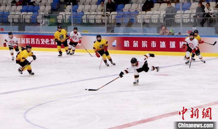 中国女子冰球职业联赛首次在哈尔滨开幕，标志